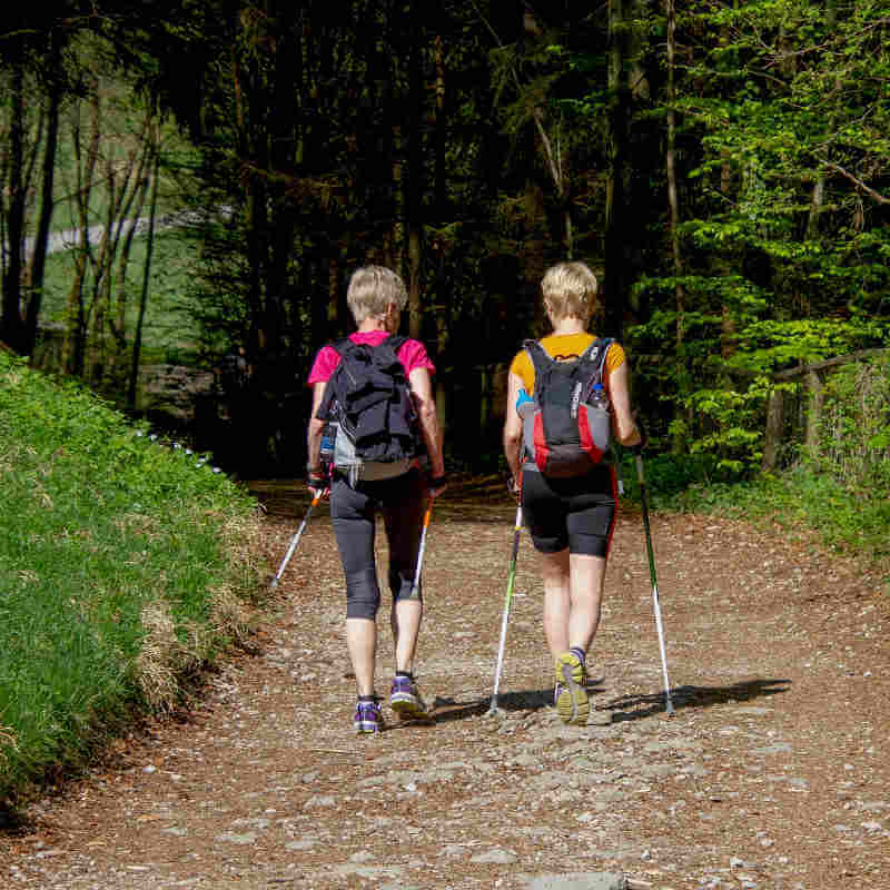 Two women are nordic walking.