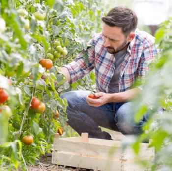 Back pain - gardening
