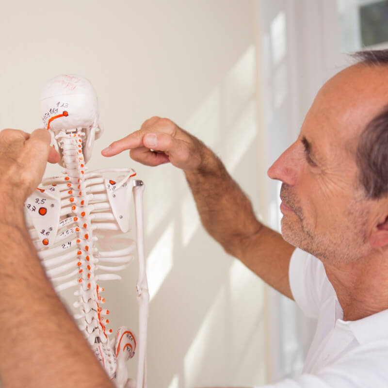 Roland Liebscher-Bracht showing some points on a skeleton.