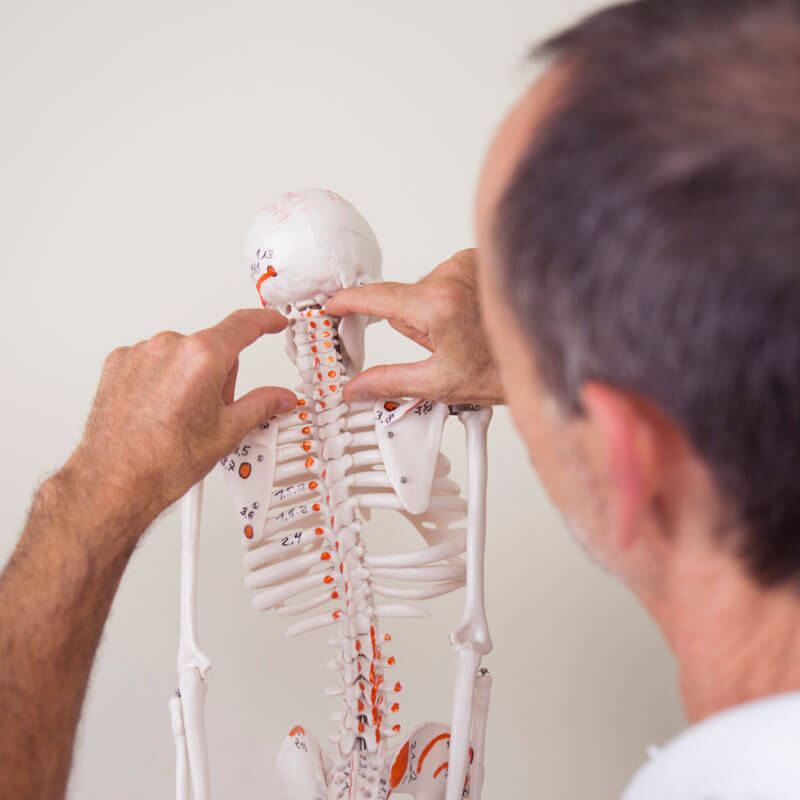 Roland Liebscher-Bracht pointing out something at a skeleton.