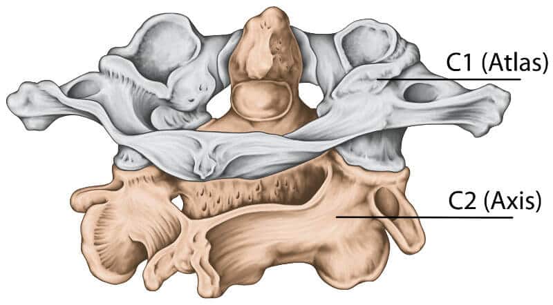 Illustration of the atlas vortex.