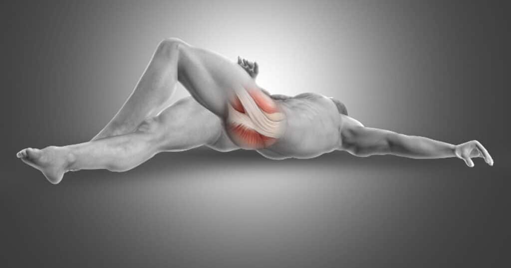 Anatomical Display of the piriformis.